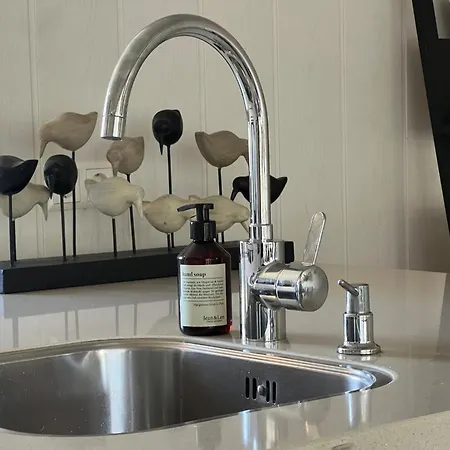 Countryside View Near Dunes * Sint Maartensvlotbrug