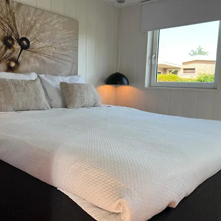 Countryside View Near Dunes Sint Maartensvlotbrug