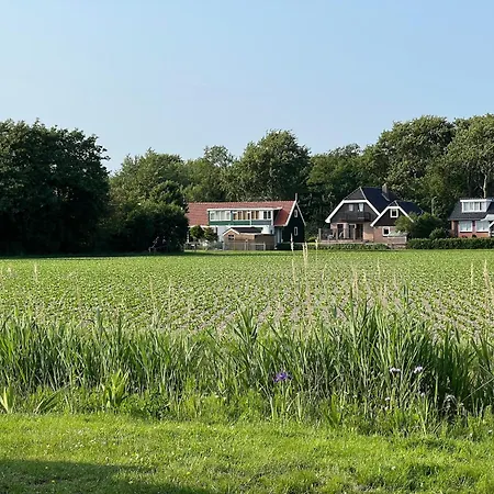 Countryside View Near Dunes * Sint Maartensvlotbrug