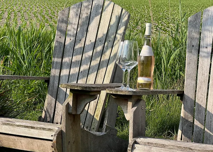 Countryside View Near Dunes Casa de Férias Sint Maartensvlotbrug